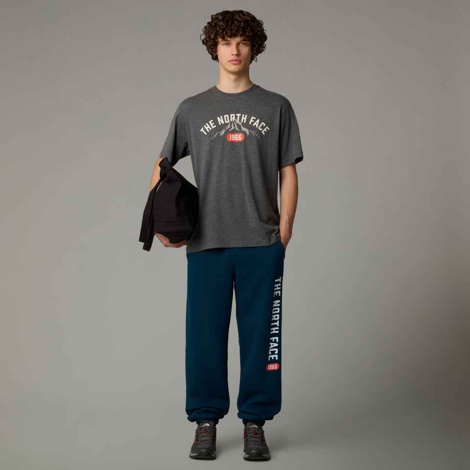 The Northface Varsity Graphic Tee - Gray