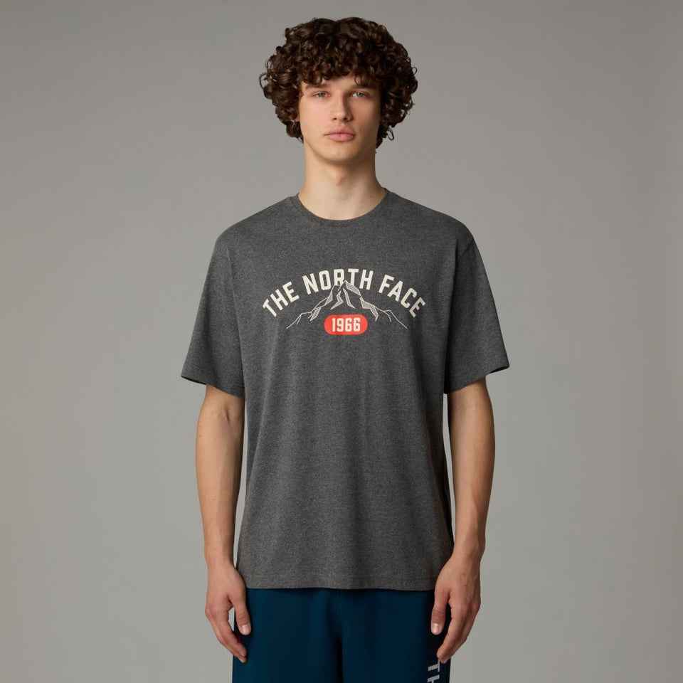 The Northface Varsity Graphic Tee - Gray