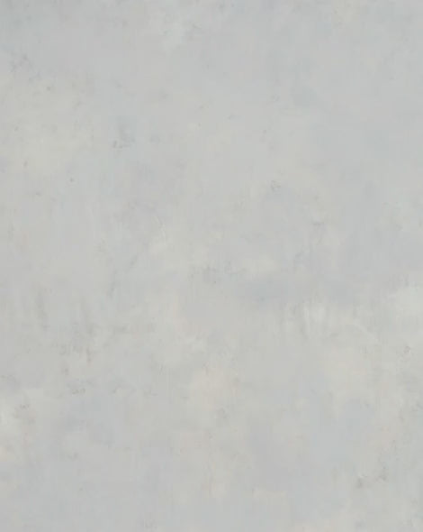 Polo Pony Bear Logo Tee - Navy