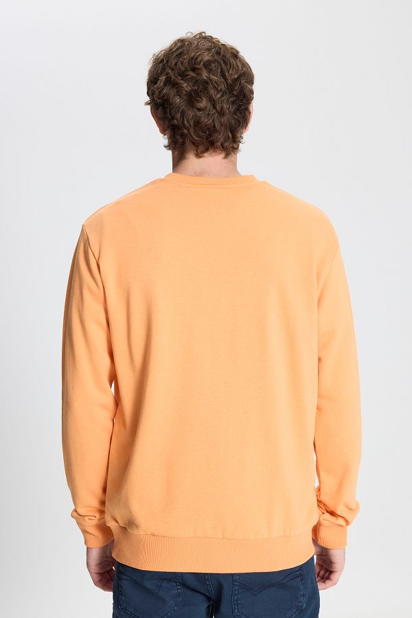 Hugo Lion Graphic Sweatshirt - Rust - Brand Store