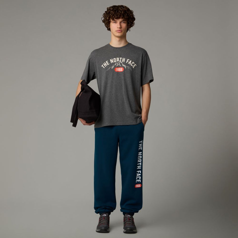 The Northface Varsity Graphic Tee - Gray - Brand Store