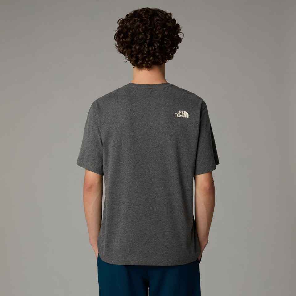 The Northface Varsity Graphic Tee - Gray