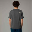The Northface Varsity Graphic Tee - Gray
