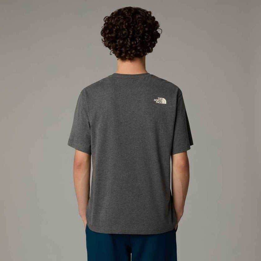 The Northface Varsity Graphic Tee - Gray