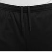 Nike Dri-fit Sports Shorts - Black