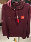 TNF Never Stop Exploring Hoodie - Burgendy
