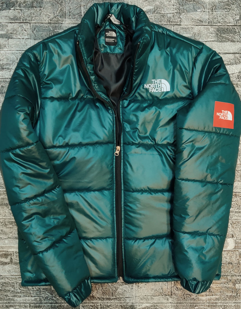 TNF Paded Jacket -Bottle Green - Brand Store