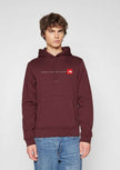 TNF Never Stop Exploring Hoodie - Burgendy