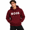 Burgundy Logo Pullover Hoodie