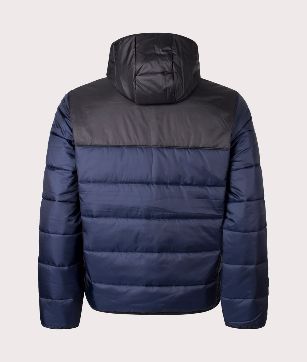 Lacoste Padded Jacket - Black / Blue - Brand Store
