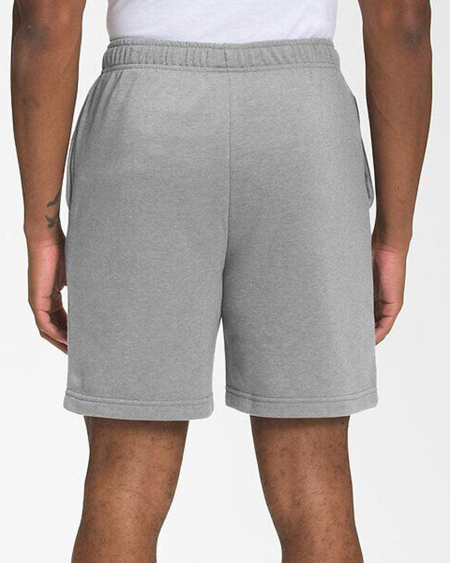 TNF Box Logo Shorts - Gray - Brand Store