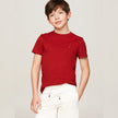 Tommy Classic Logo Embroidered Tee - Red