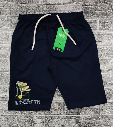 Lacoste Embroidered Logo Shorts - Navy - Brand Store