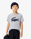 Lacoste Crocodile Printed Tee - Gray - Brand Store
