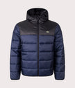 Lacoste Padded Jacket - Black / Blue - Brand Store