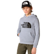 TNF Pullover Hoodie Kids Unisex - Grey