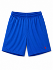 Polo RL Swim Shorts